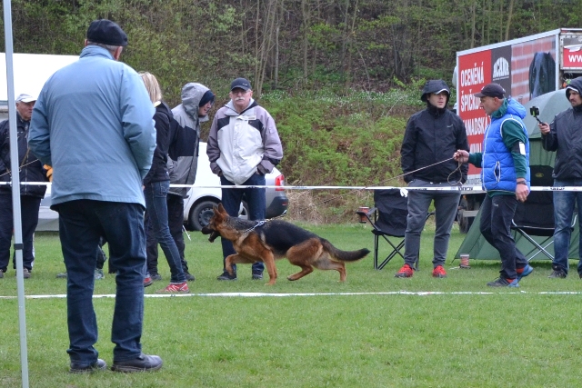 Rouzie Hoovice II