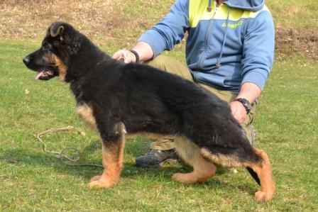 427.JPG Coby