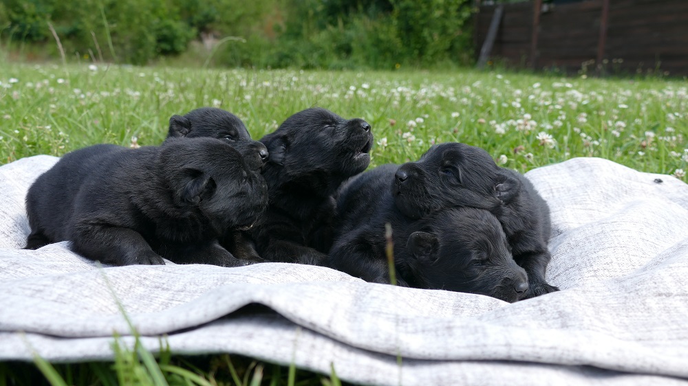 09str